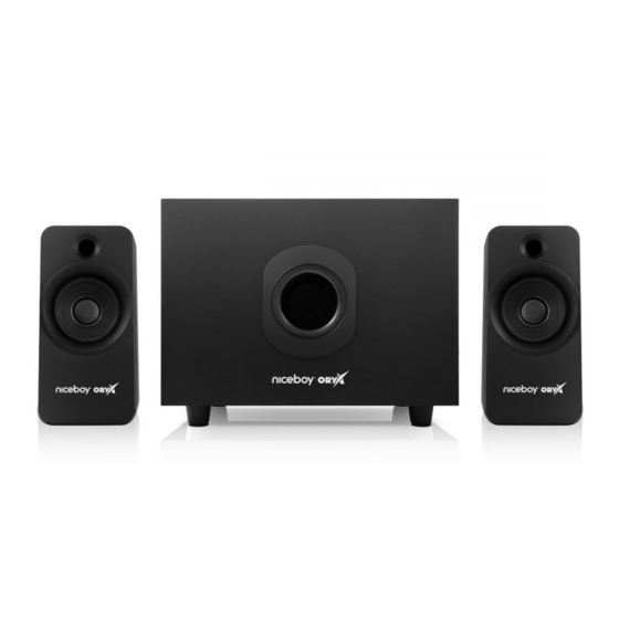 Niceboy VOX 2.1 MAXX BASS User Manual