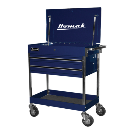 Homak BL06034020 Owner's And Operator's Manual