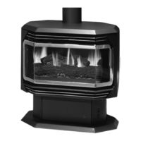 Regency Fireplace Products F28-LP Owners And Installation Manual