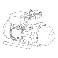 Walrus Pump TQCN400 Instruction Manual