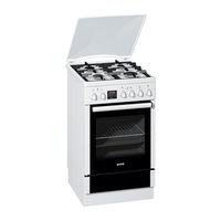 Gorenje K535 Manual