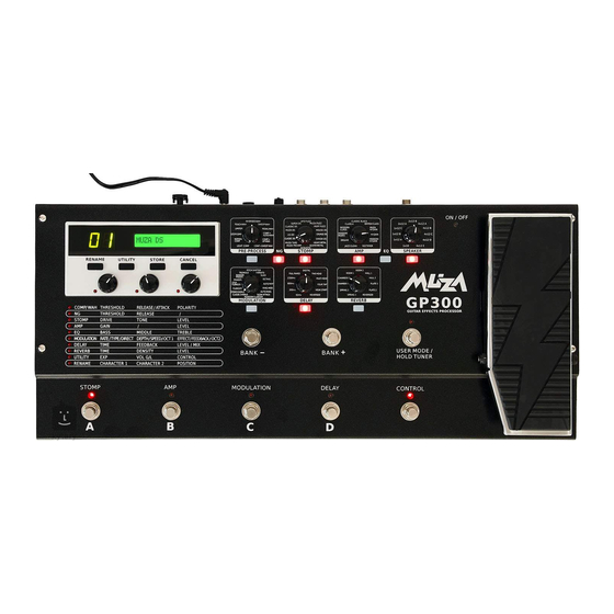 Muza GP300 Instruction Manual