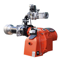 baltur BGN 350 DSPGN ME Installation, Use And Maintenance Instruction Manual