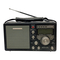 Radio Grundig S350DL Operation Manual