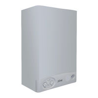 Ferroli DOMIcompact F 30 D 