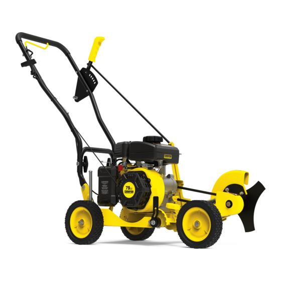 Champion Power Equipment 100731 Operator's Manual