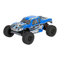ECX AMP mt ECX03034l Instruction Manual