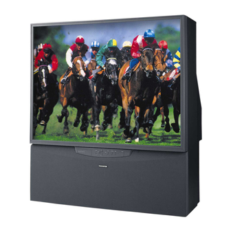 Toshiba COLORSTREAM 43A61 Owner's Manual