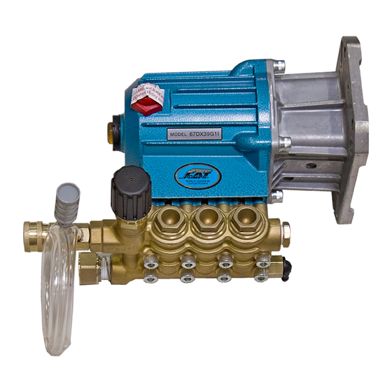 CAT Pumps 67DX39G1I Service Manual