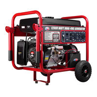 All-Power APGG12000GL Owner's Manual