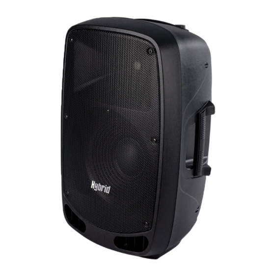 Hybrid PA12B User Manual