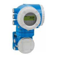 Endress+Hauser XPD0034-HT Installation Instructions Manual