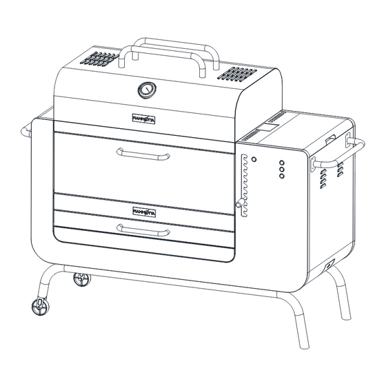 FIAMETTA RAPID COAL HS-17CE01 Instruction Manual