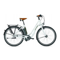 Raleigh Fast Pedelec Instrucoes De Utilizacao