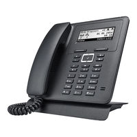 bintec elmeg elmeg IP620 User Manual