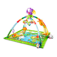 Fisher-Price FPM23 Consumer Information
