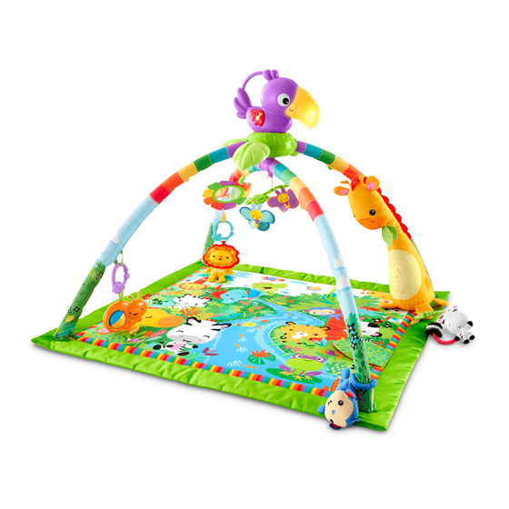Fisher-Price FPM23 Consumer Information