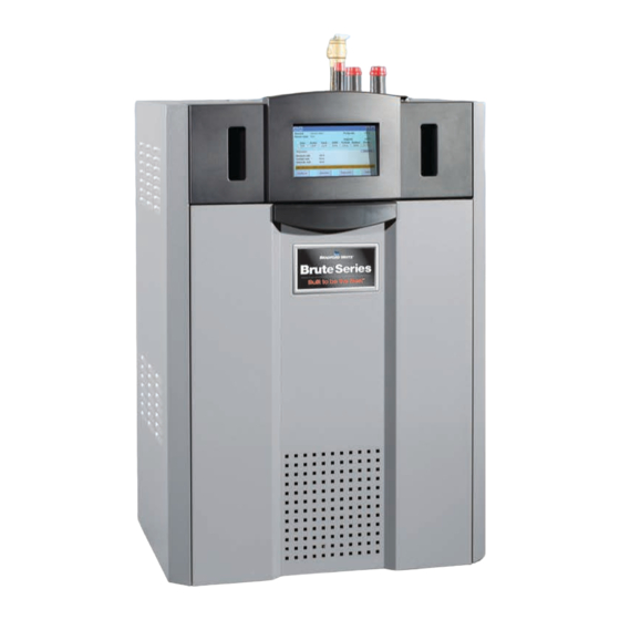 Bradford White Brute BNTH Series Installation And Operation Instruction Manual