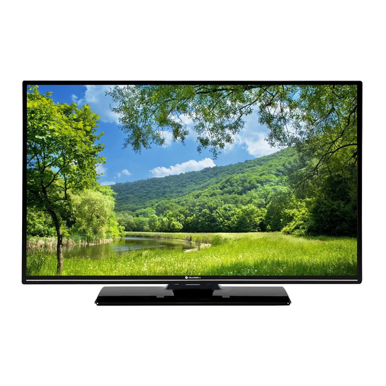 Gogen TVF40N525T Instruction Manual