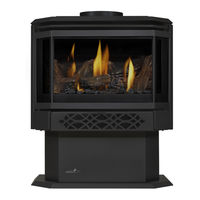 Continental Fireplaces CDVS280-1PEA Installation And Operation Manual