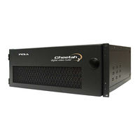 PESA CHEETAH 144NE Uesr Manual