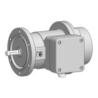 Baumer Hübner EExGP 02-TG 74 d Mounting And Operating Instructions