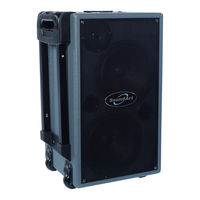 SoundArt PWA-100-DMPTV User Manual