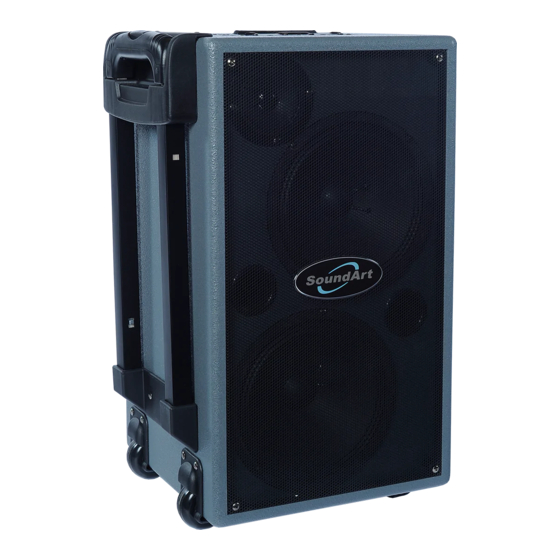 SoundArt PWA-50-D User Manual