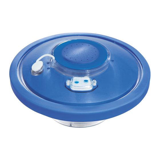 Bestway Flowclear 58493 Manual