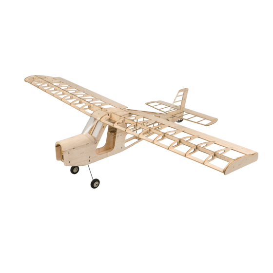 Dancing Wings Hobby T09 AeroMax Instruction Manual