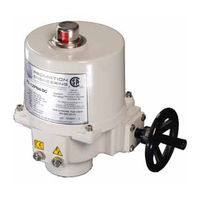Promation Engineering P2-12PN4-DC Installation & Operation Manual