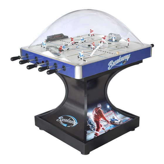 Shelti Blue Line Hockey Thunderdome Assembly Instructions