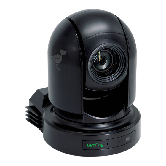 birddog EYES P200 User Manual