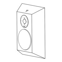Focal CHORA User Manual