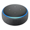 Amazon Echo Dot - Multimedia Speaker Manual