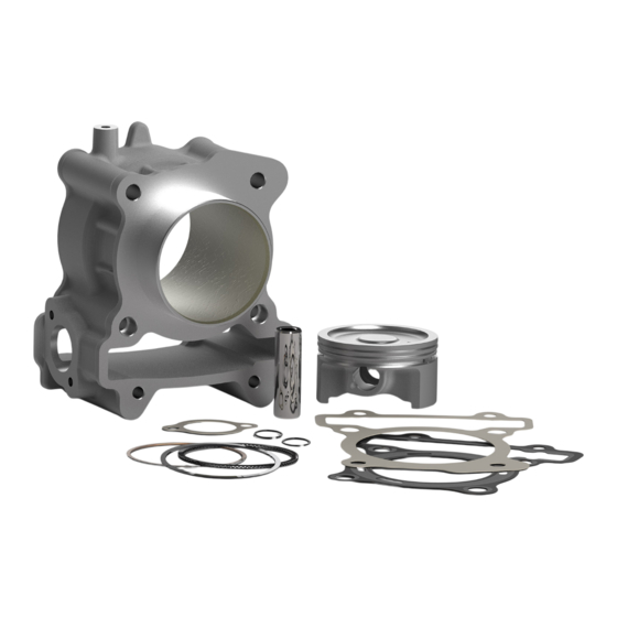 Malossi 3117968 Manual