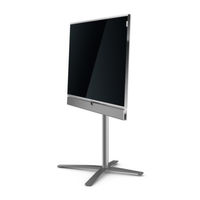 Loewe Stereospeaker I 55 Installation Instructions Manual
