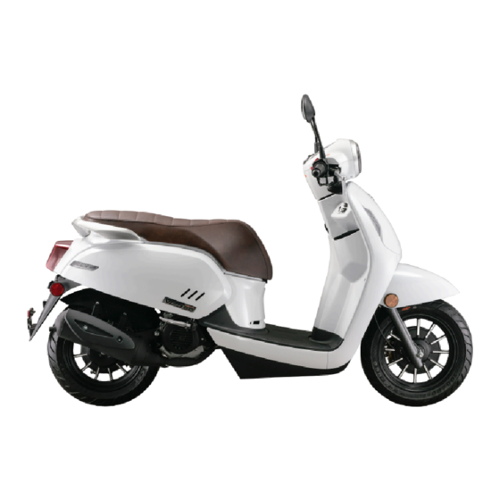 QJMOTOR VPS50 Owner's Manual