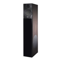 Teufel Theater 3 Hybrid Series Technical Specifications And Operating Manual
