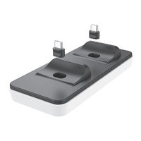 Lioncast Controller Charger Lite Manual