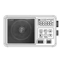 Raddy RF206 User Manual