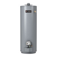 Lochinvar RESIDENTIAL GAS WATER HEATERS Instruction Manual