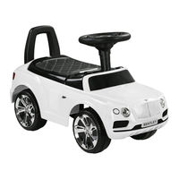 Aiyaplay 370-309V00WT Assembly Instructions Manual