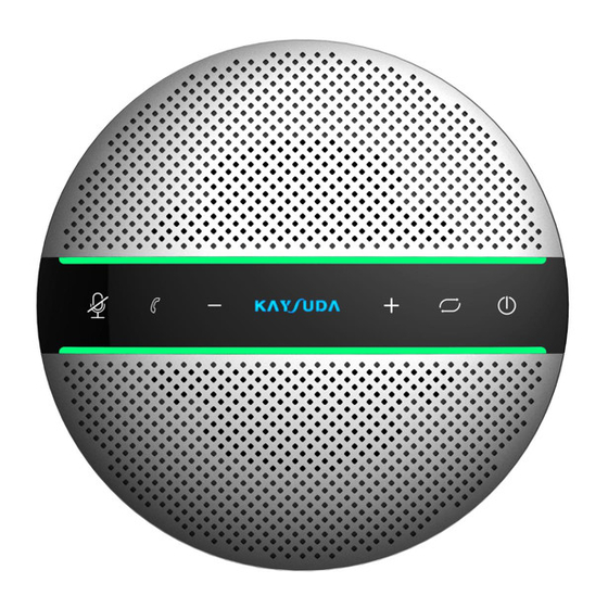 Kaysuda SP300 User Manual