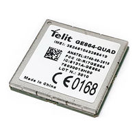 Telit Wireless Solutions GE864-PY Interface Product Description