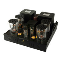 ALLNIC AUDIO M-3000 MK2 Owner's Manual