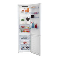Beko RCNA406E40W Manual