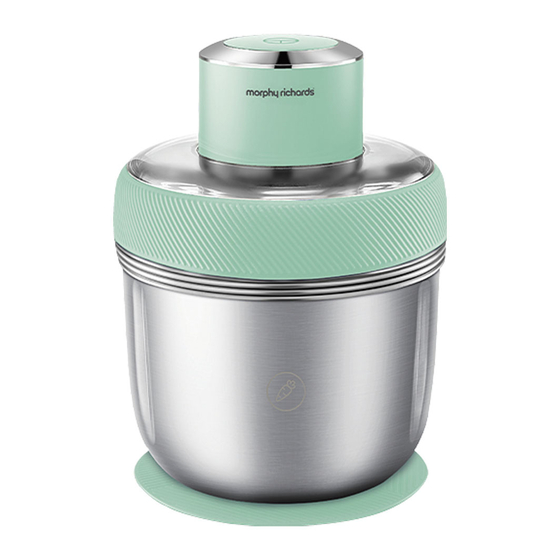 Morphy Richards MRCH35SG Instruction Manual