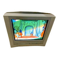 Toshiba MW 20FM1 Service Manual