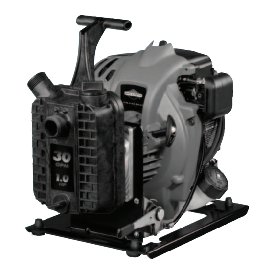 Briggs & Stratton 73005 Illustrated Parts List